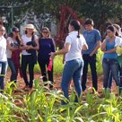 #10089 Agronomia de Limoeiro é o melhor curso do Ceará