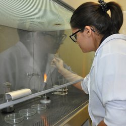 #10166 Inscrição de mestrado em Alimentos segue até sábado (1/7)