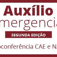 #10567 Maracanaú realiza videoconferência sobre auxílio emergencial