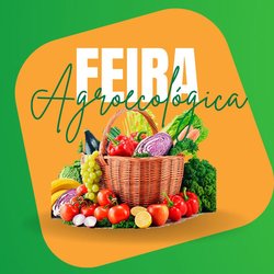 #10783 Estudantes de Maracanaú vão realizar Feira Agroecológica