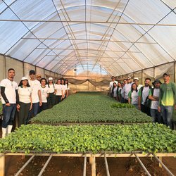 #10924 Turma de Agricultura visita a estufa Semear