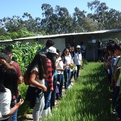 #11113 IFCE promove seminário de olericultura