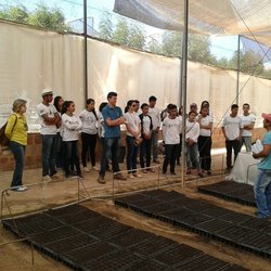 #11144 Estudantes de Agricultura de Tianguá visitam Reijers
