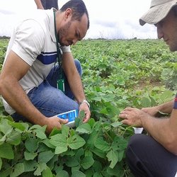 #11202 Estudantes visitam fazenda de soja