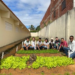 #11315 Projeto de extensão do IFCE Tianguá planta horta em escola