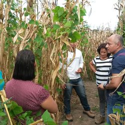 #11405 IFCE Tianguá recebe pesquisadores piauienses e mexicanos