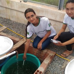 #11434 Docente realiza pesquisas com morango em cultivo hidropônico
