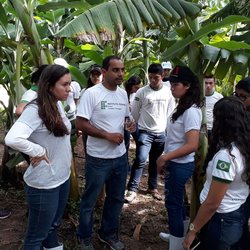 #11449 Estudantes visitam perímetro irrigado de frutas