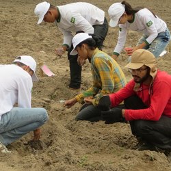 #11557 Docentes do IF Tianguá realizam pesquisa sobre fava