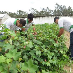 #11621  Palestra aborda Elaboração de Projetos Rurais 