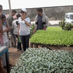 #11633 Estudantes de Agricultura realizam visita técnica