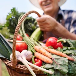 Agricultura familiar