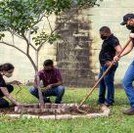 #13000 Campus Juazeiro abre chamada pública para aquisição de alimentos