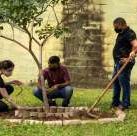 #13316 Estudantes realizam plantio na Horta Solidária do campus