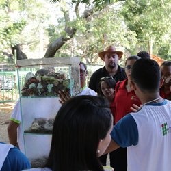 #14768 Compostagem e minhocário são temas de oficinas 