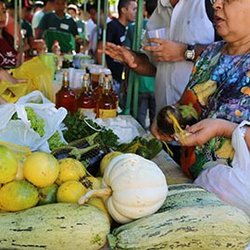 #14860 Feira agroecológica movimenta campus do Crato
