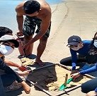 #16656 Ecomangue retoma pesquisas no Parque Nacional de Jericoacoara