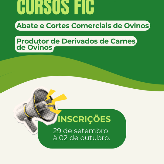Cursos FIC