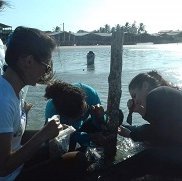 #16979 Alunos de Biológicas participam de curso de Biologia Marinha