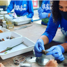 #16989 Campus Acaraú realiza ação de educação ambiental em Itarema