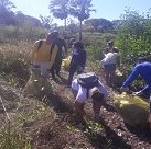 #17185 Ecomangue realiza mutirão de limpeza em manguezal