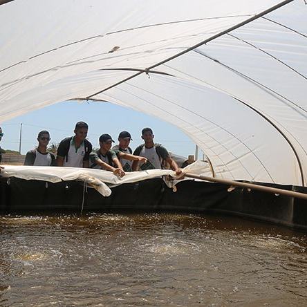 #17983 Aracati oferta vagas para curso técnico integrado em Aquicultura