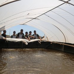 #18049 Aracati lança edital para bolsas de residência agrícola