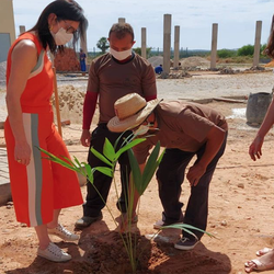 #18085 Parceria com a prefeitura melhora arborização do campus de Aracati