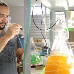 #18138 Pesquisa com microalga tem destaque nacional