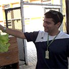 #18213 Aracati cultiva alface em sistema de aquaponia