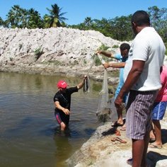 #18230 Projeto cria peixes em água que seria descartada