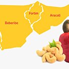 #18344 Plano de ação vai beneficiar cajucultura em Aracati
