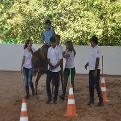 #19609 Experiências Exitosas são destaque na Reditec