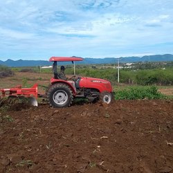 #2009 Umirim retoma os trabalhos de campo com início das chuvas