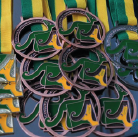 #4699 Fortaleza tem recorde duplo na Canguru: participação e 17 medalhas