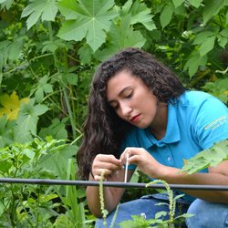 #6625 Enactus IFCE de Iguatu é finalista em editais da Ford e Nufarm