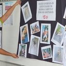 #7005 Evento debate cuidados com animais