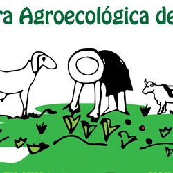 #7898 1ª Feira Agroecológica de Tauá é promovida por IFCE e parceiros