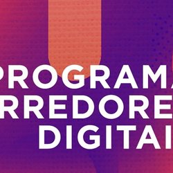 #8175 Corredores Digitais: Tauá aprova 10 projetos