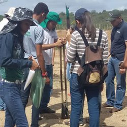 #8215 Alunos de Agronegócio visitam Fazenda Cachoeirinha