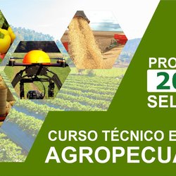#8370 Tauá abre inscrições para técnico em Agropecuária