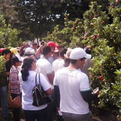 #8483 Alunos de agronegócio realizam visitas técnicas