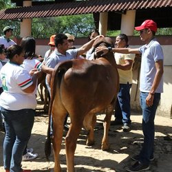 #8604 Alunos de Tauá visitam fazenda em aula de campo