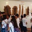 #8629 Estudantes de Tauá participam de aula de campo