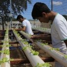 #8768 Tauá abre processo seletivo para Técnico em Agronegócio