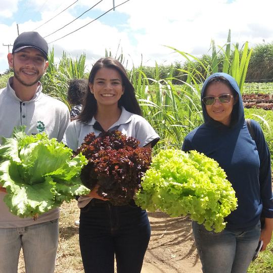 #9308 Alunos de Ubajara visitam fazenda orgânica