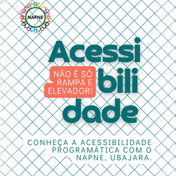 Acessibilidade Napne capa