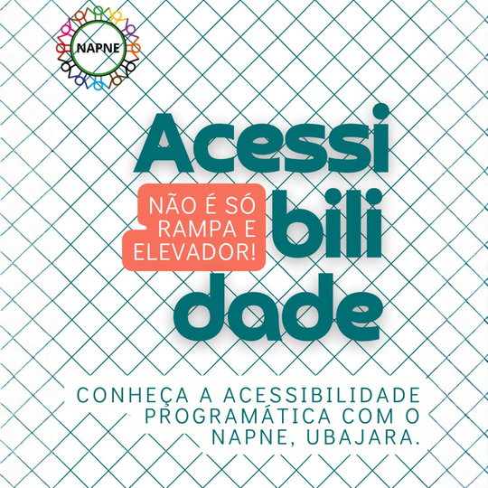 Acessibilidade Napne capa