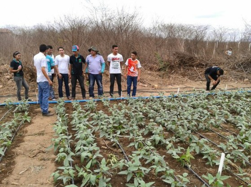 Agropecuaria Umirim