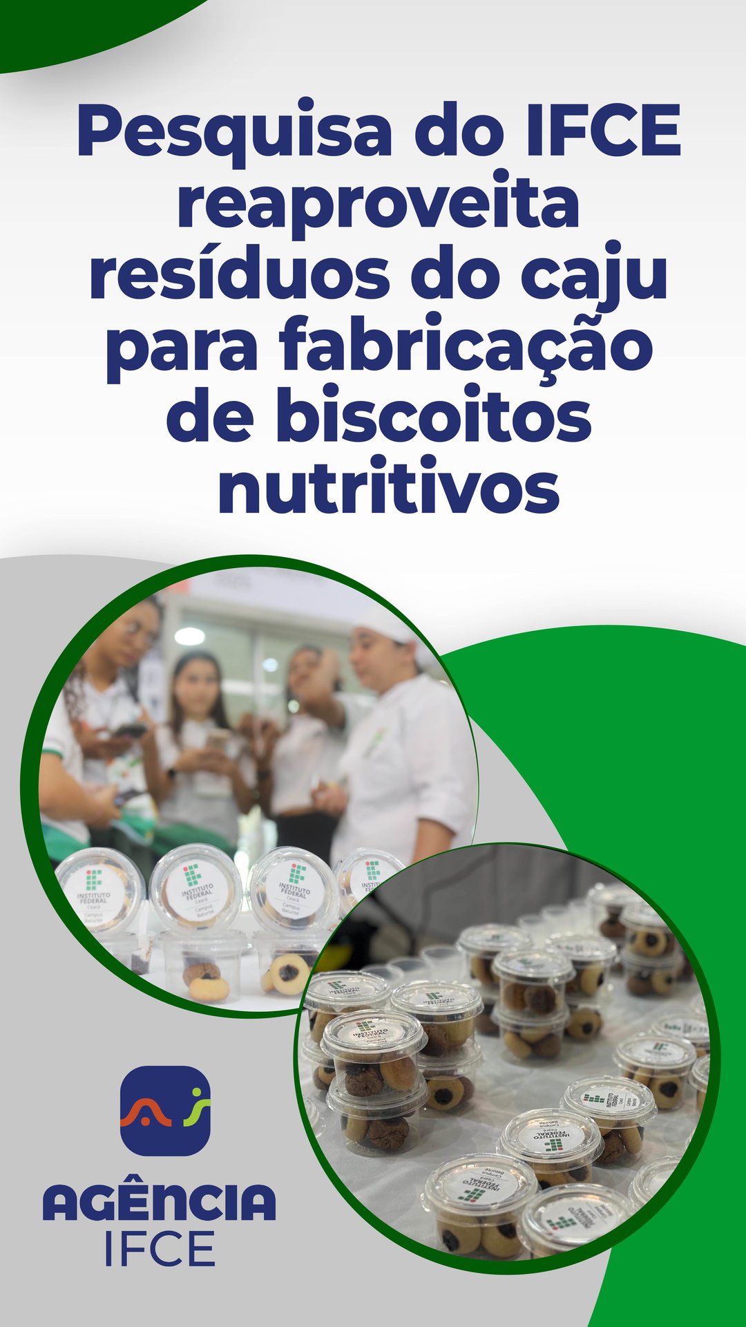 Agência IFCE - Pesquisa caju